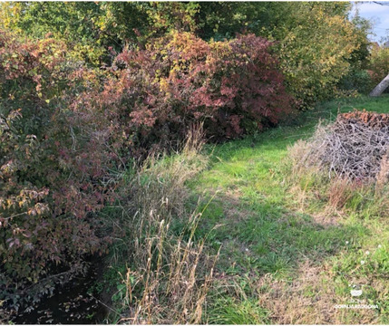 Skrbno ravnanje z vodotoki – skupna odgovornost za varnost in naravo 1